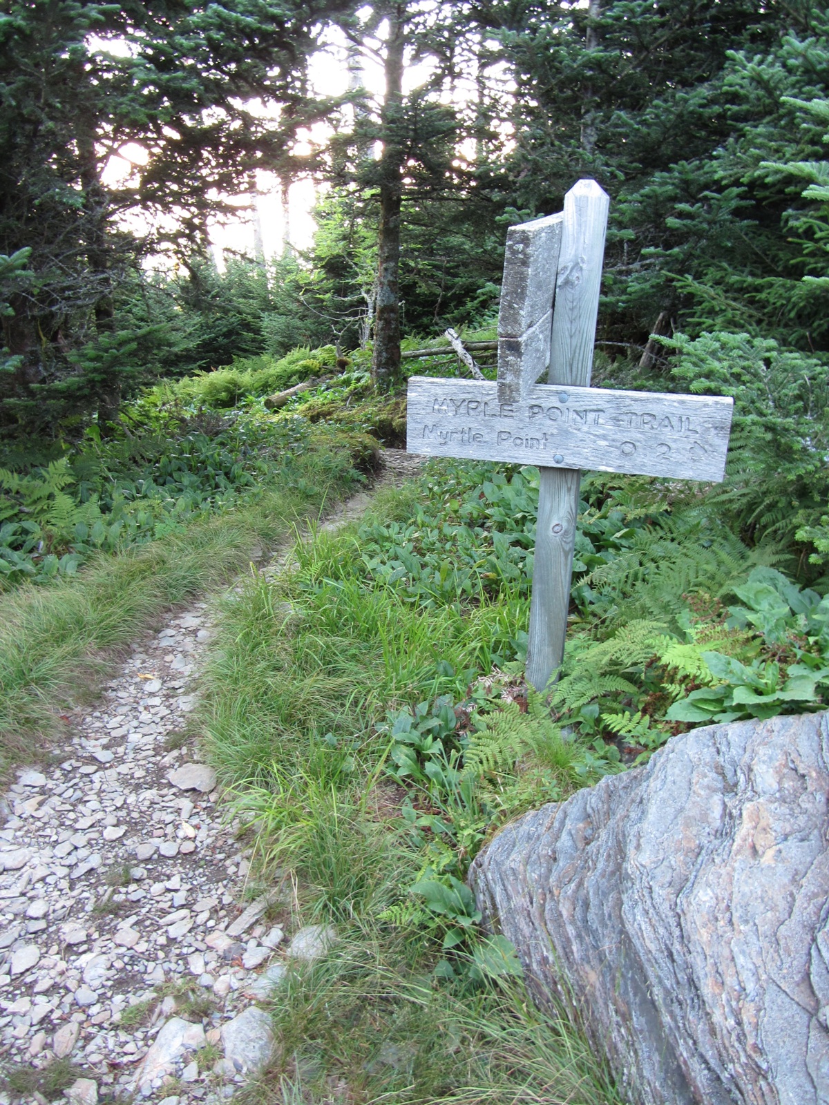 Myrle Point Sign