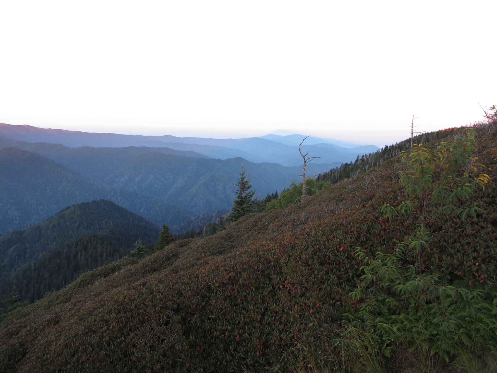 Myrtle Point View At Dawn - 2