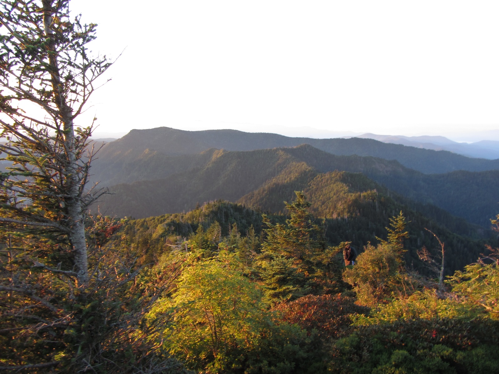 Myrtle Point View At Dawn - 7