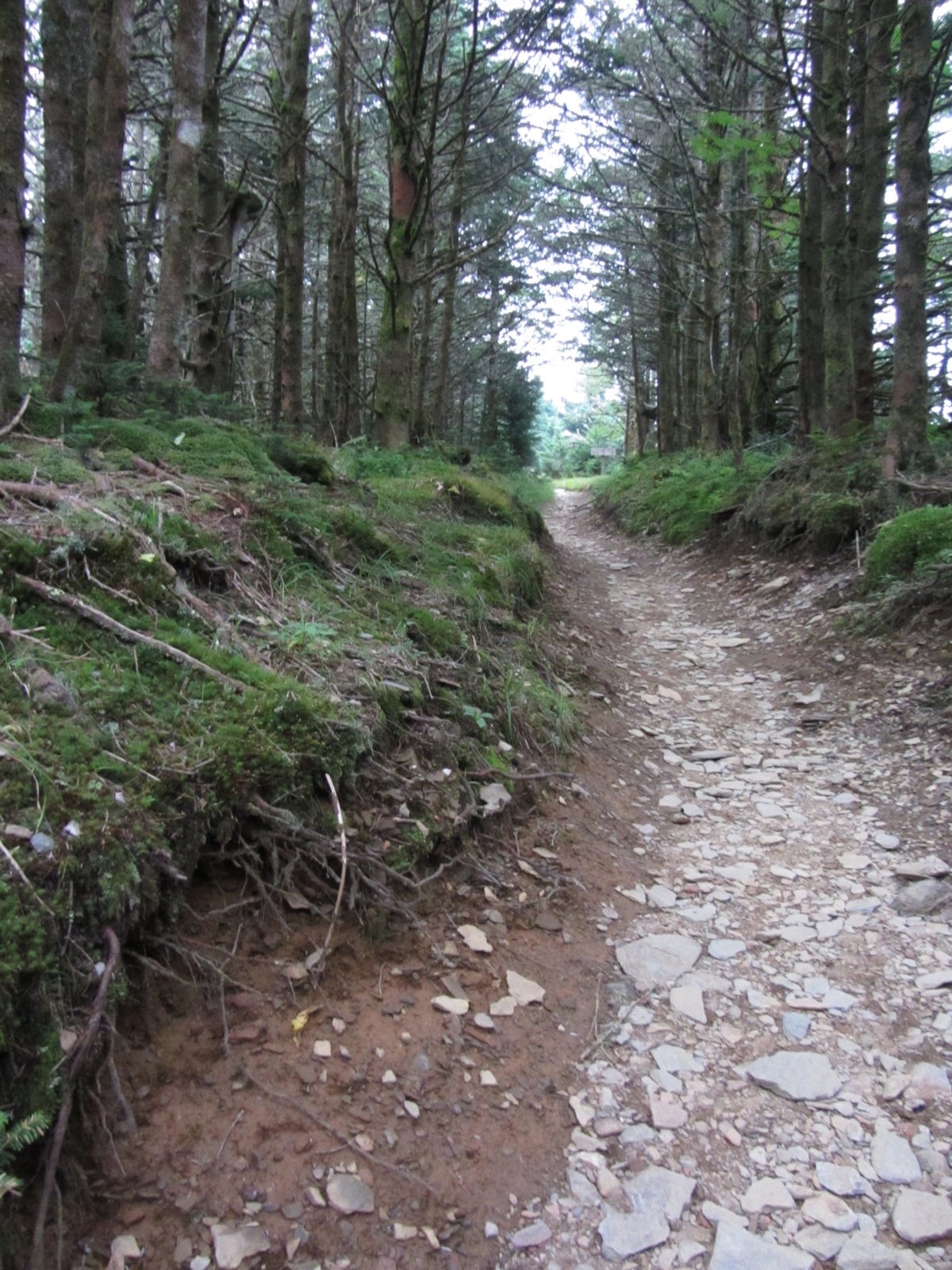 Path To Cliff Top - 2