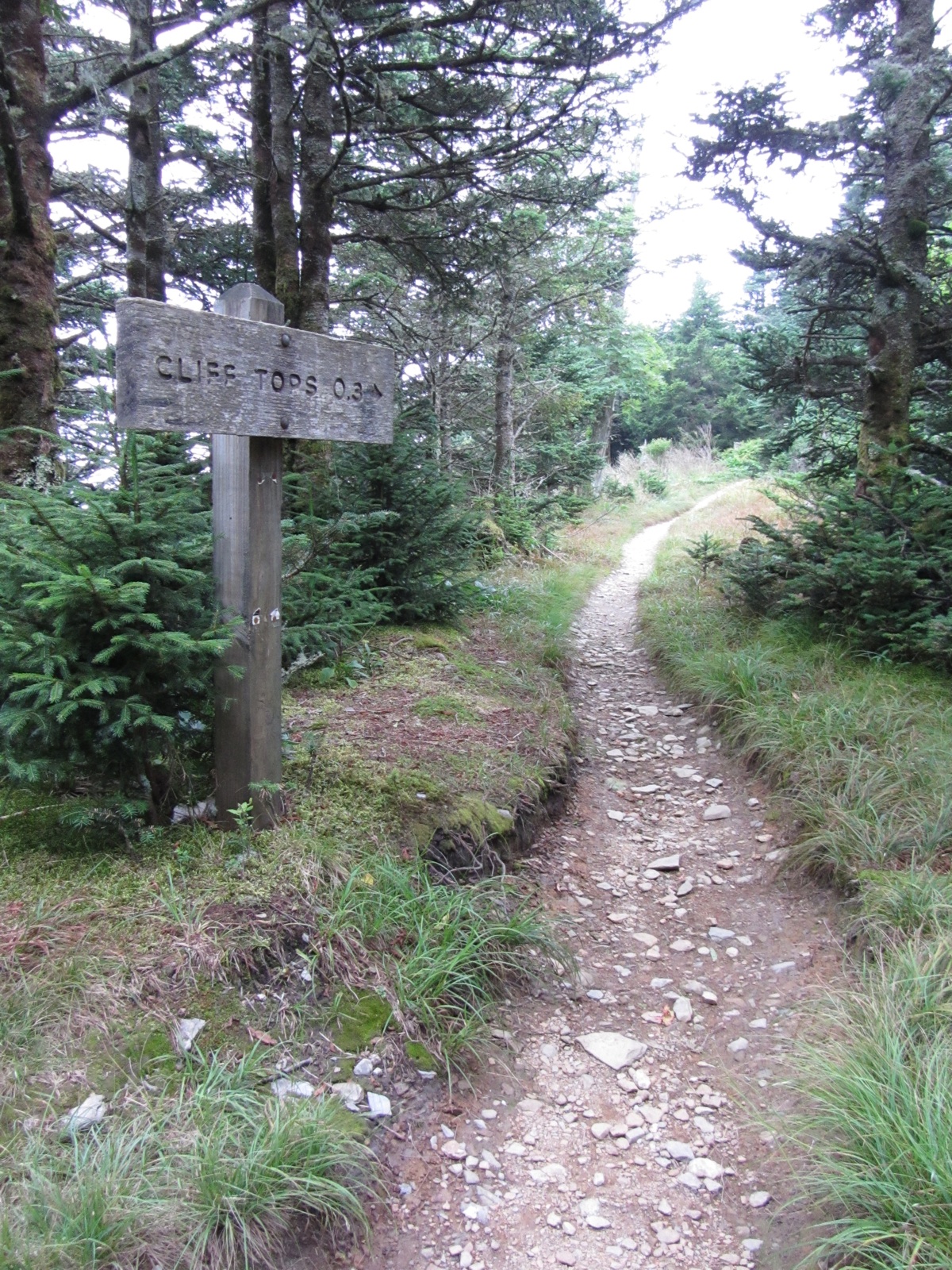 Path To Cliff Top - 3