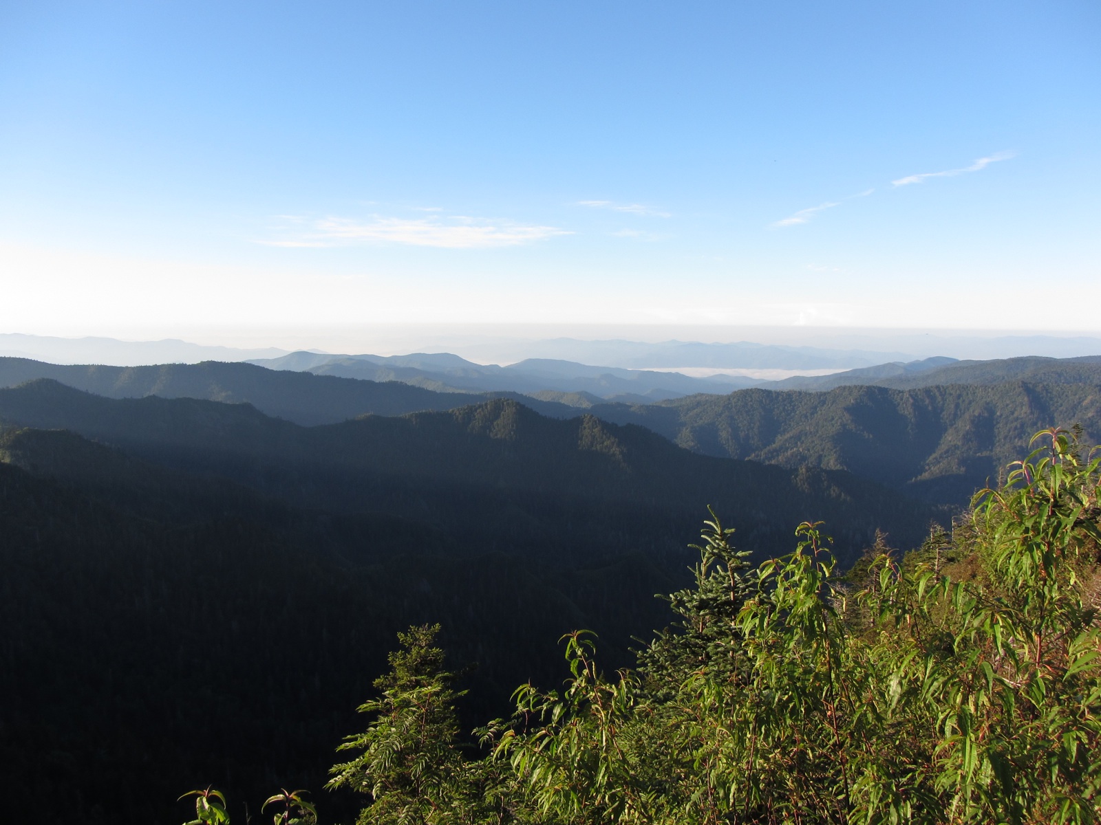 Towards Newfound Gap - 1