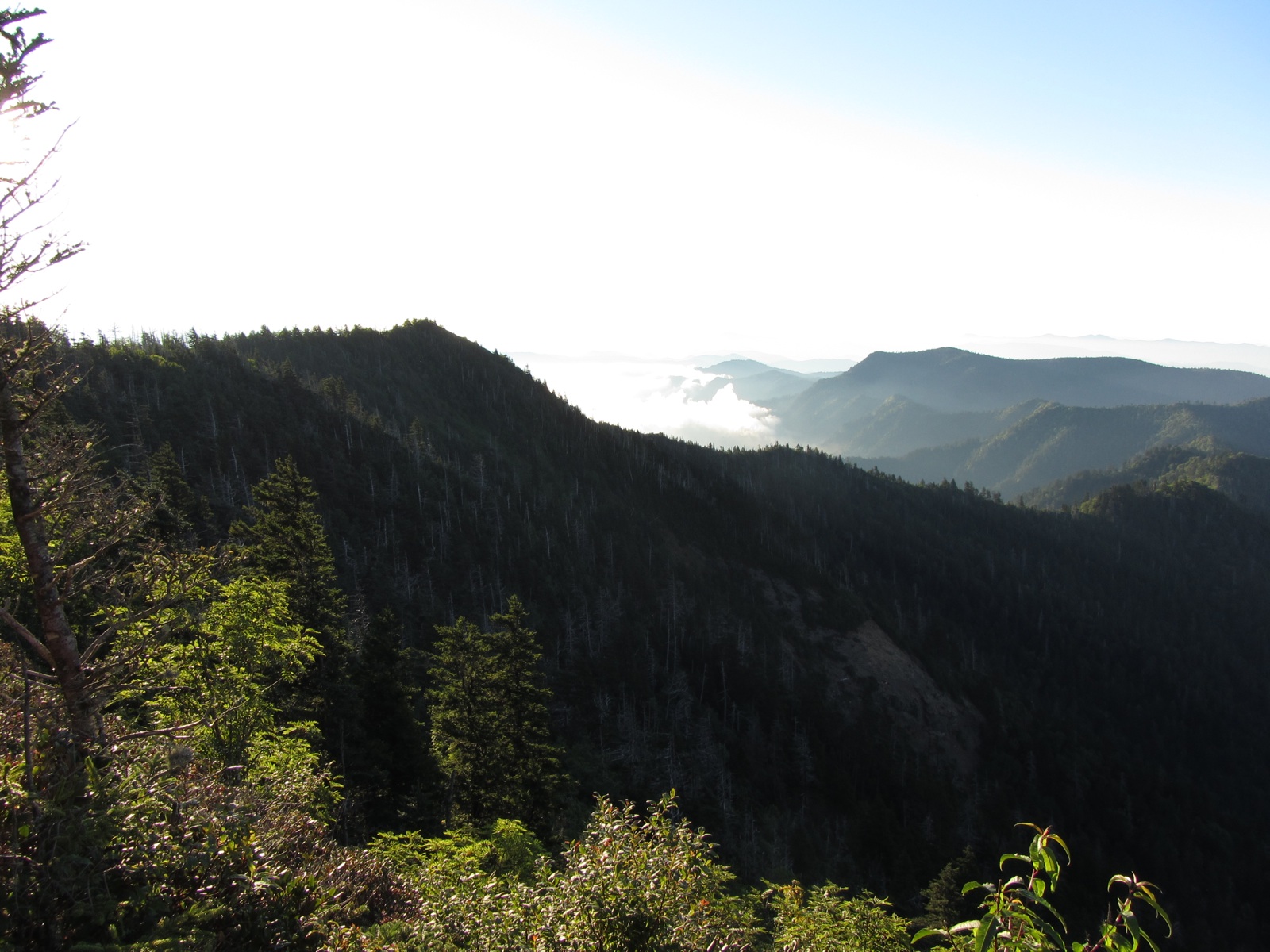 Towards Newfound Gap - 2