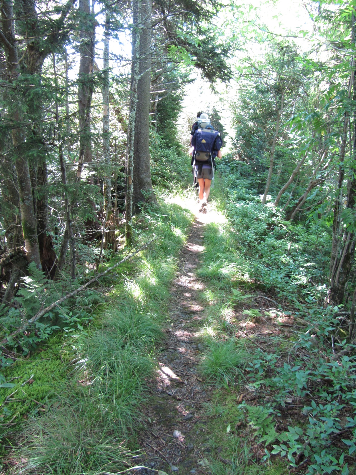 Walking The Ridge Line - 2