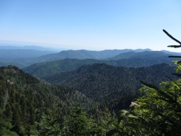 thumbnail of "Boulevard Trail View - 04"