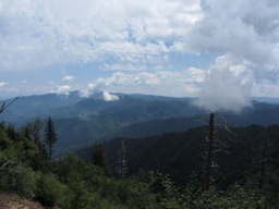 thumbnail of "Boulevard Trail View - 05"