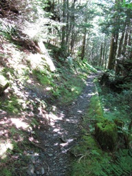 thumbnail of "Boulevard Trail - 2"