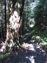 thumbnail of "Boulevard Trail - 3"