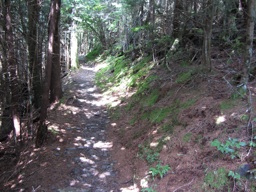 thumbnail of "Boulevard Trail - 4"