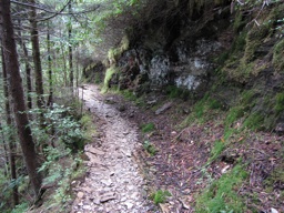 thumbnail of "Boulevard Trail - 5"