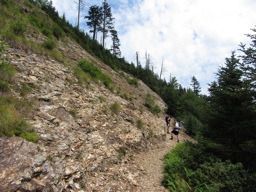 thumbnail of "Exposed Section Of Boulevard Trail"