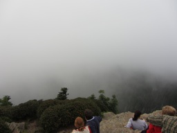 thumbnail of "Mist Off Cliff Top - 2"