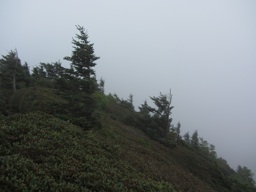 thumbnail of "Mist Off Cliff Top - 3"