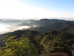 thumbnail of "Myrtle Point View At Dawn - 8"