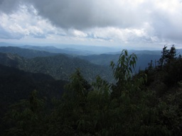 thumbnail of "Newfound Gap From Myrtle Point Trail - 4"