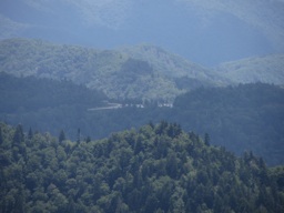 thumbnail of "Newfound Gap From Myrtle Point Trail - Saturday"