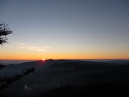 thumbnail of "Sunrise - 03"