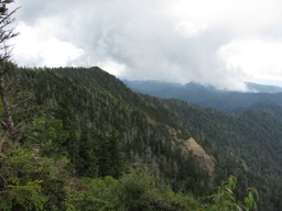 thumbnail of "View From Myrtle Point Trail - 1"