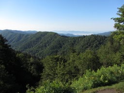 thumbnail of "View From Newfound Gap"