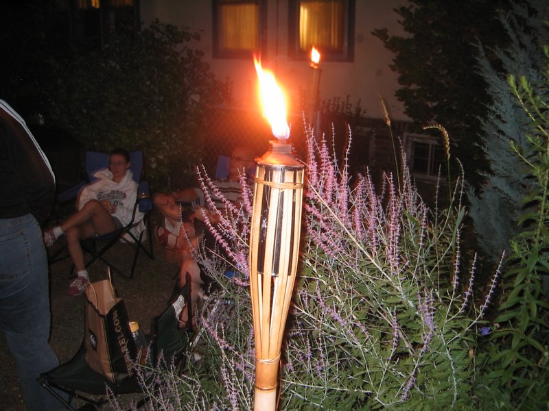 Torch