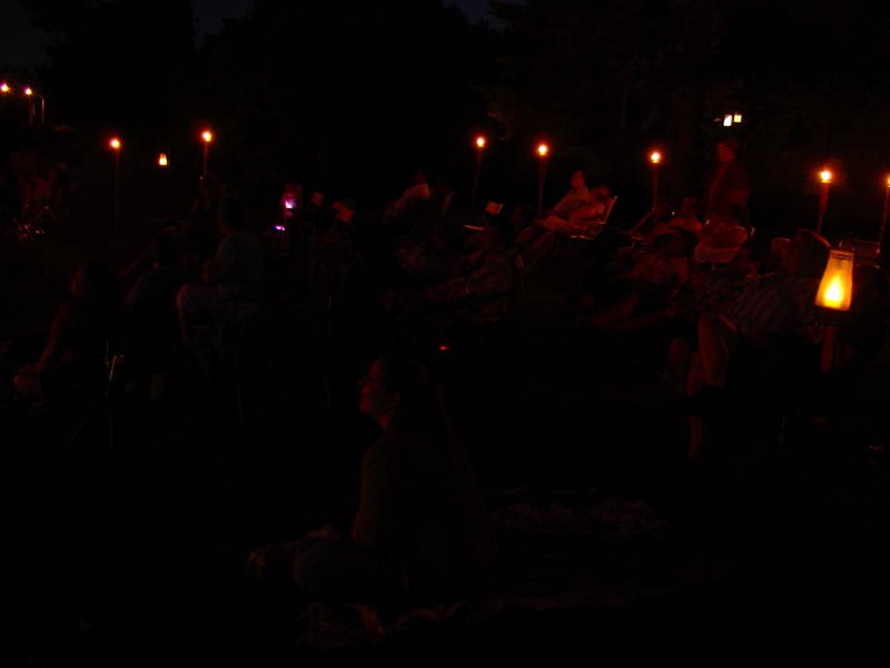 The Firework Watchers