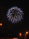 thumbnail of "Fireworks - 41"