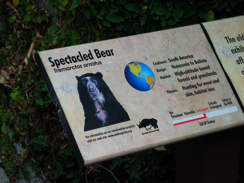 Spectacled Bear Sign