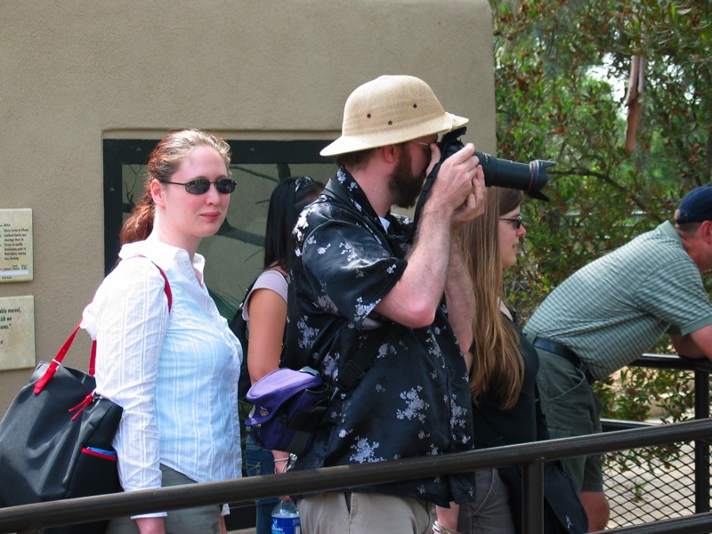 Watching The Guanaco - 2