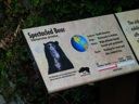Thumbnail of Image- Spectacled Bear Sign