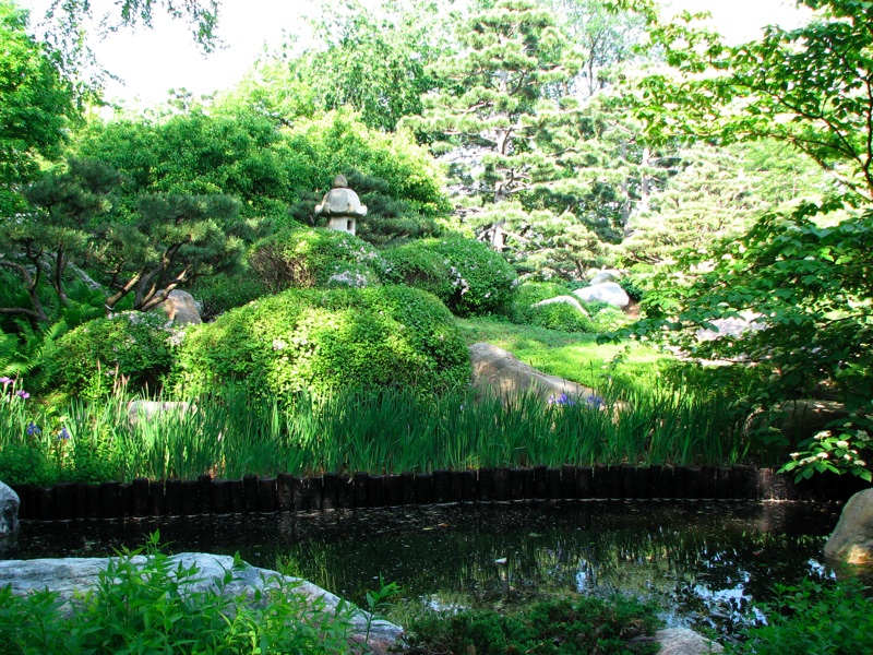 Japanese Garden - 01