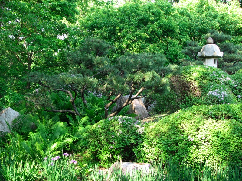 Japanese Garden - 03