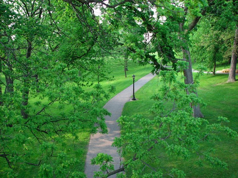 Trail And Lamppost - 1