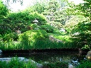 thumbnail of "Japanese Garden - 01"