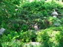 thumbnail of "Japanese Garden - 03"