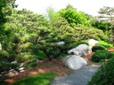 Thumbnail of Image- Japanese Garden - 04