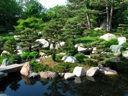 Thumbnail of Image- Japanese Garden - 13