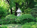 thumbnail of "Japanese Garden - 14"