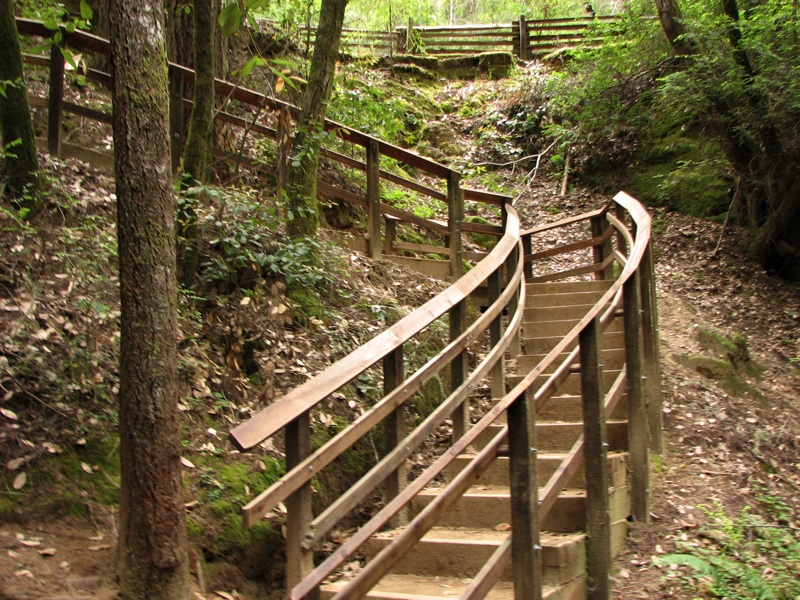 Stairs To The Falls