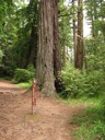 thumbnail of "Trail Start"