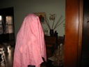 thumbnail of "Abby The Pink Ghost"