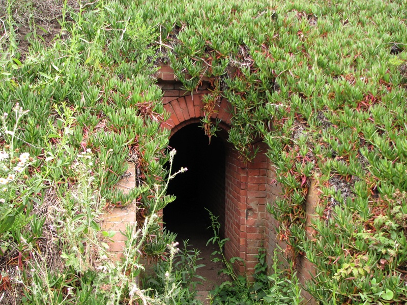 Plants And Bricks - 1