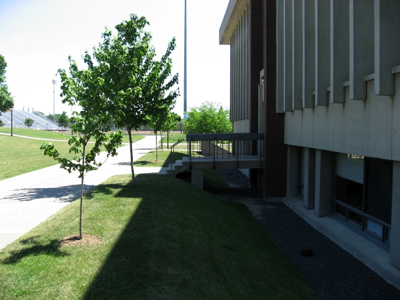 Olin Side Entrance