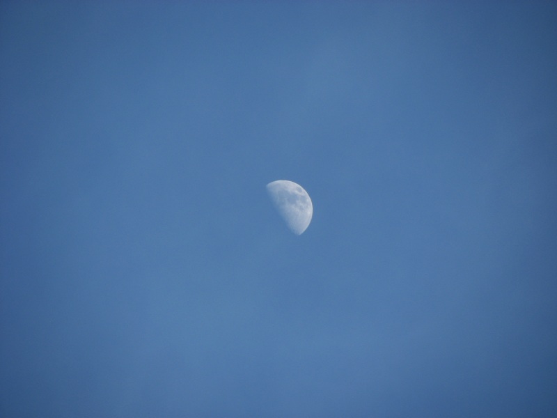 Moon Over The Mississippi