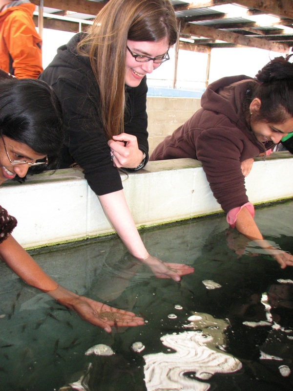 Abby Feeds Prawn At The Huka Falls Prawn Park