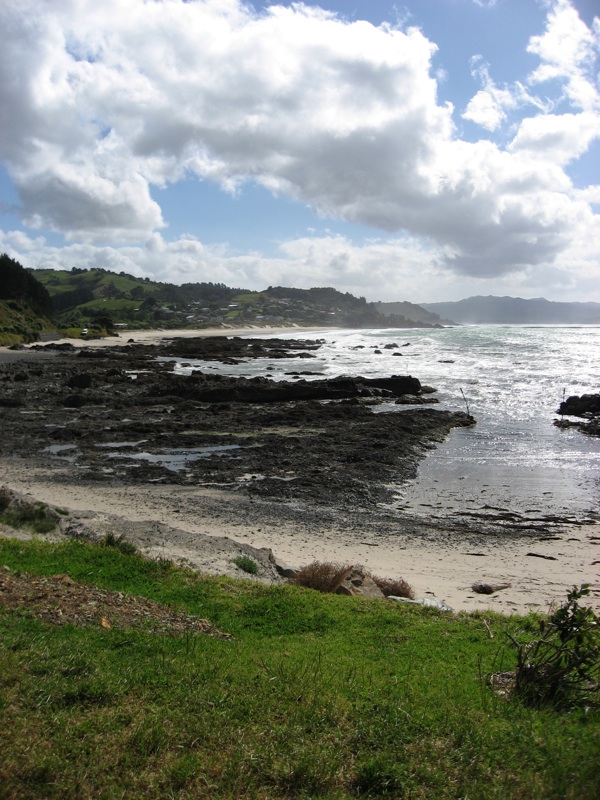 Coromandel Coast - 3