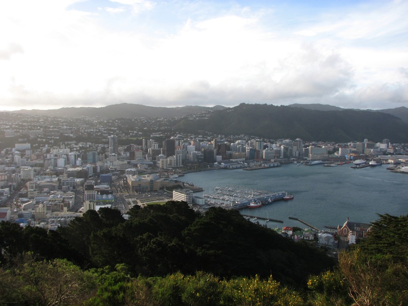 Wellington And The Harbor From Mount Victoria