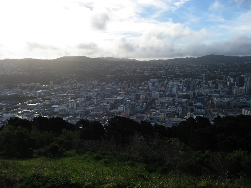 Wellington From Mount Victoria