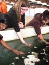 thumbnail of "Abby Feeds Prawn At The Huka Falls Prawn Park"