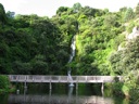 Thumbnail of Image- Botanical Gardens Waterfall