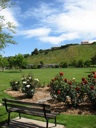 thumbnail of "Church Road Winery Grounds"